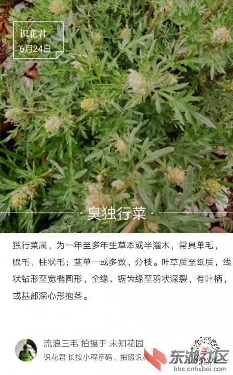 235257lagjzz44f86hbudg.jpg.thumb.jpg