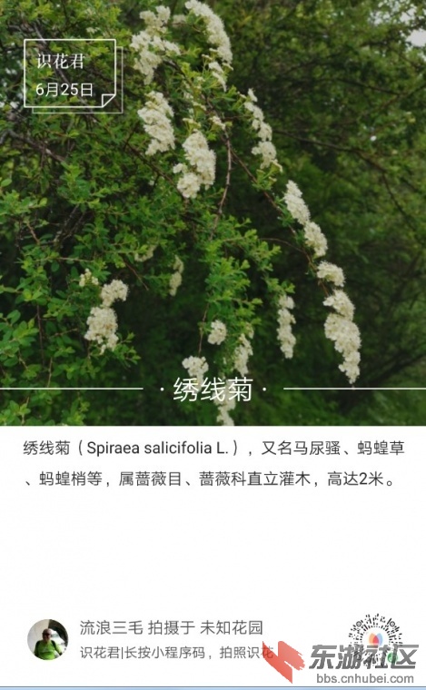 130452xkknwdywqqacd.jpg.thumb.jpg