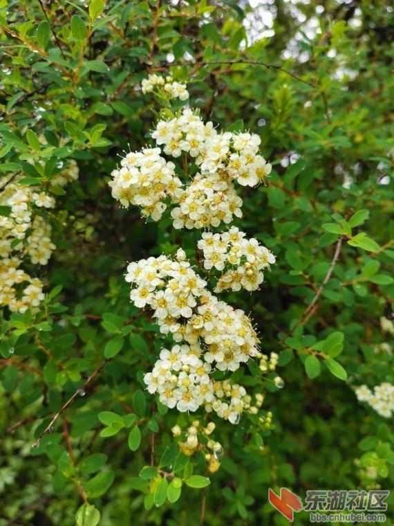 130453nbkbtxttcxnxiahx.jpg.thumb.jpg