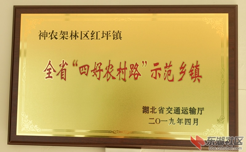 _DSC0158_副本_副本.jpg