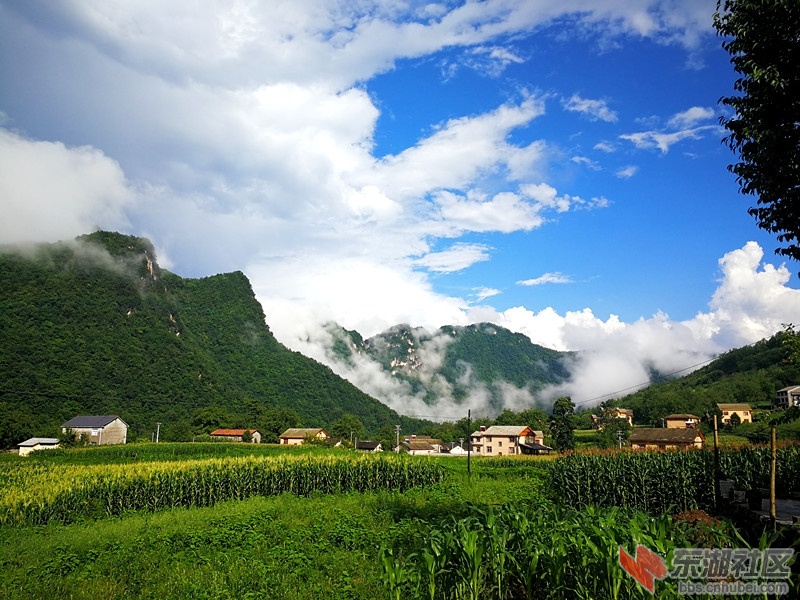 IMG_20190801_170249_副本.jpg