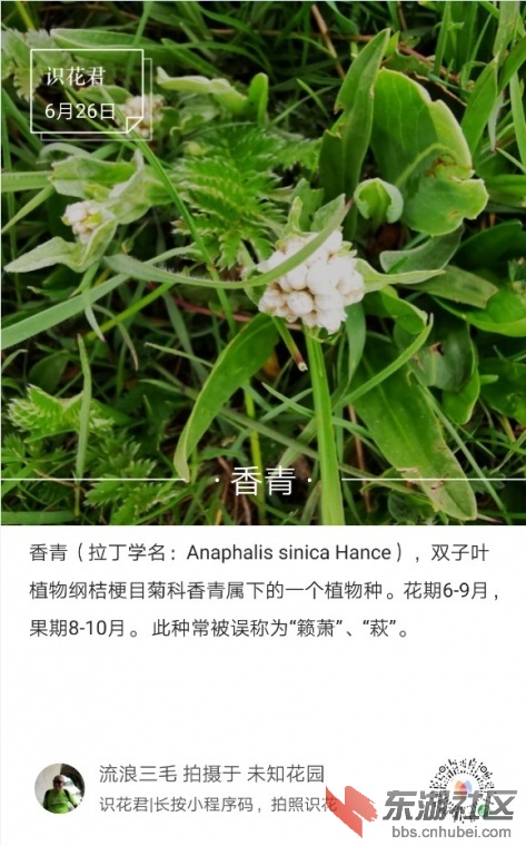 235119hpk5v3efprupfy8v.jpg.thumb.jpg
