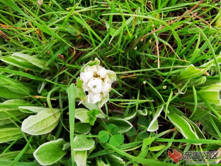 235128o88udw0gk8dcg8gs.jpg.thumb.jpg