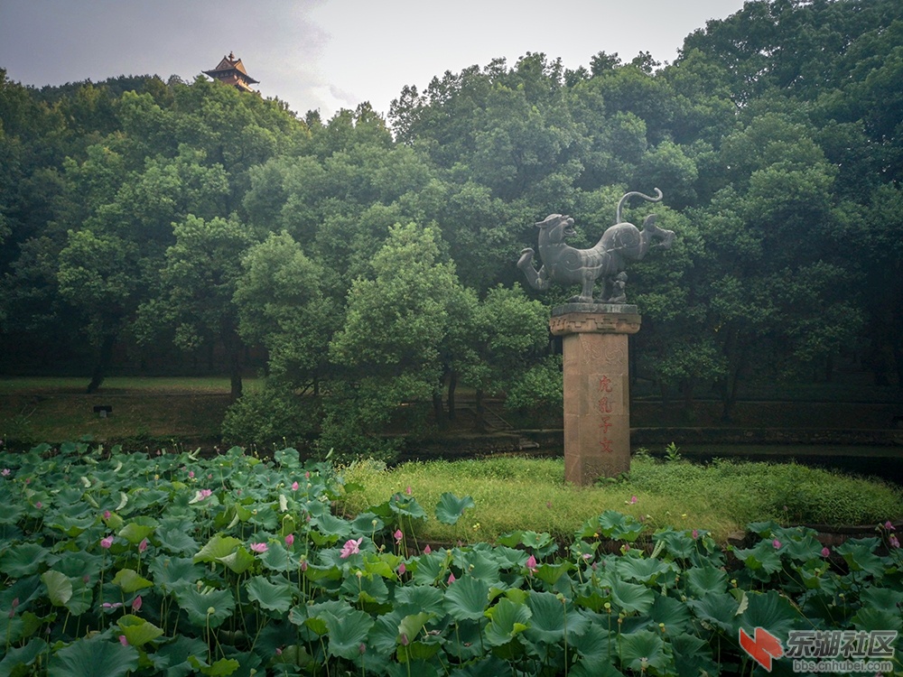 12.曾院平摄影.jpg