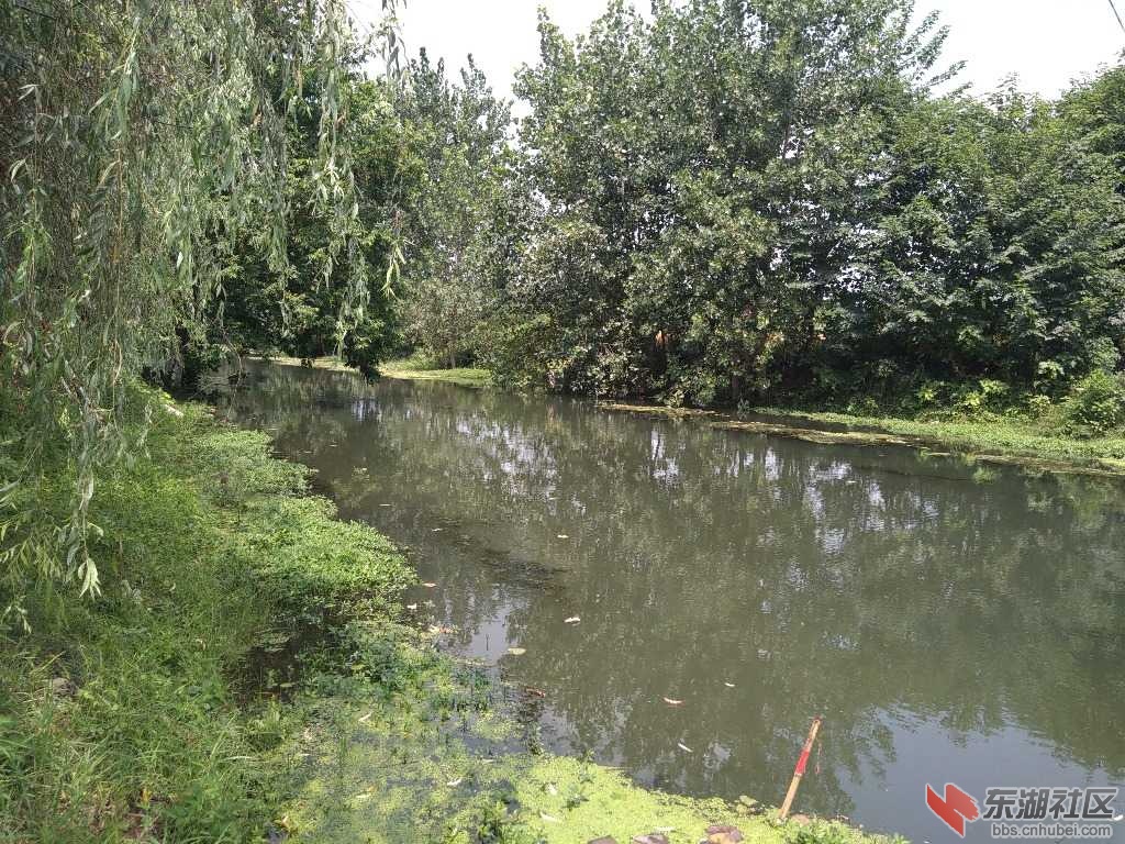 IMG_20190810_115538.jpg