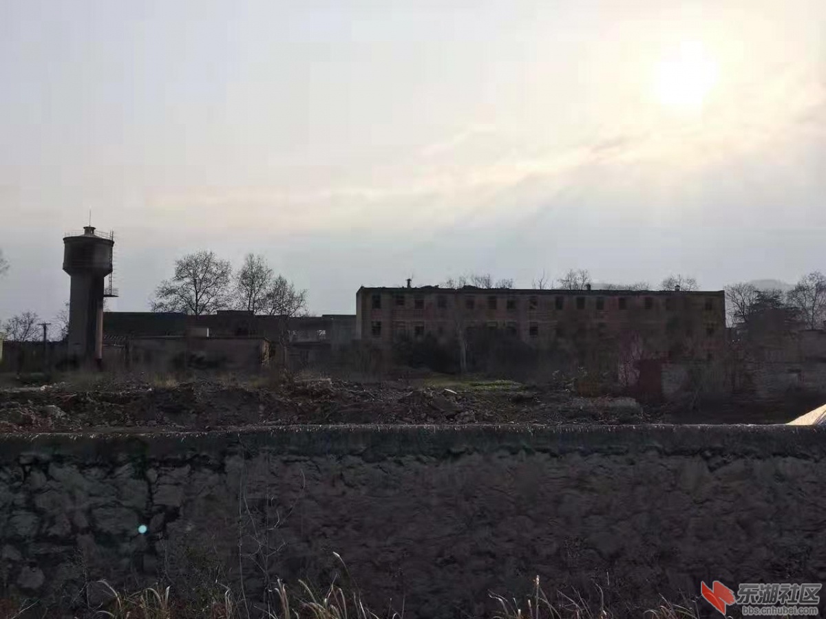 水泥厂家属区.jpg