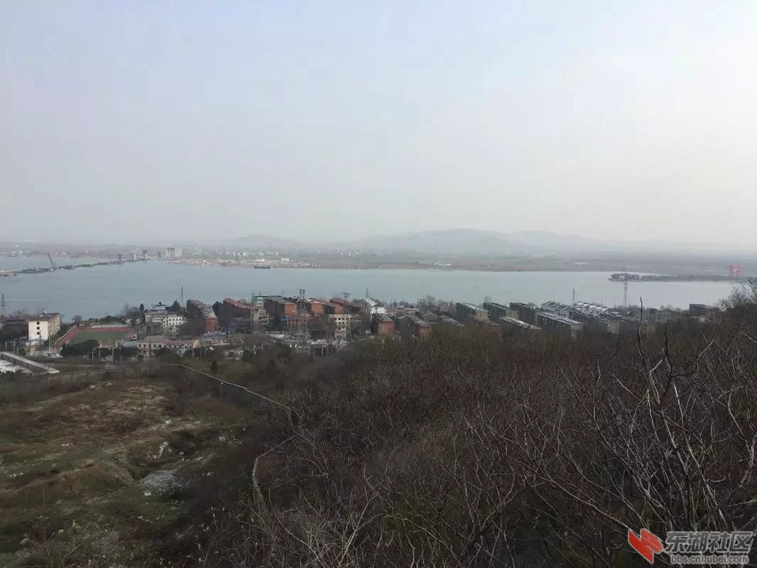 没有什么年轻人的湖北制药厂.jpg