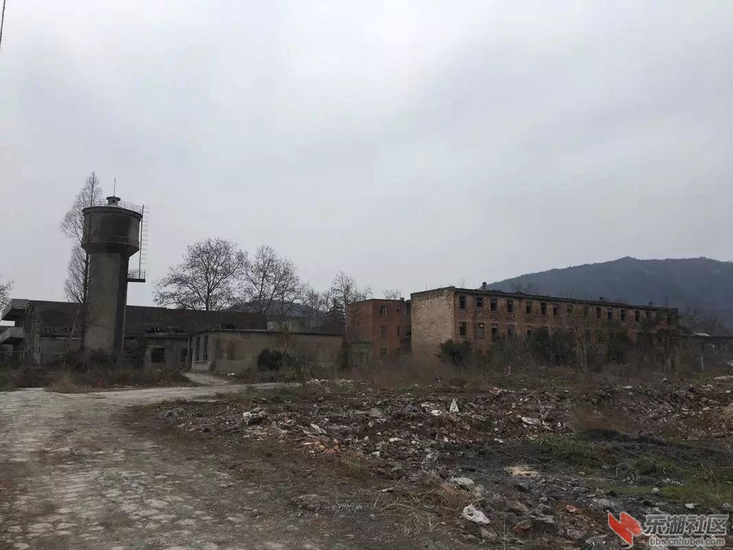 没有几个人的家属区.jpg