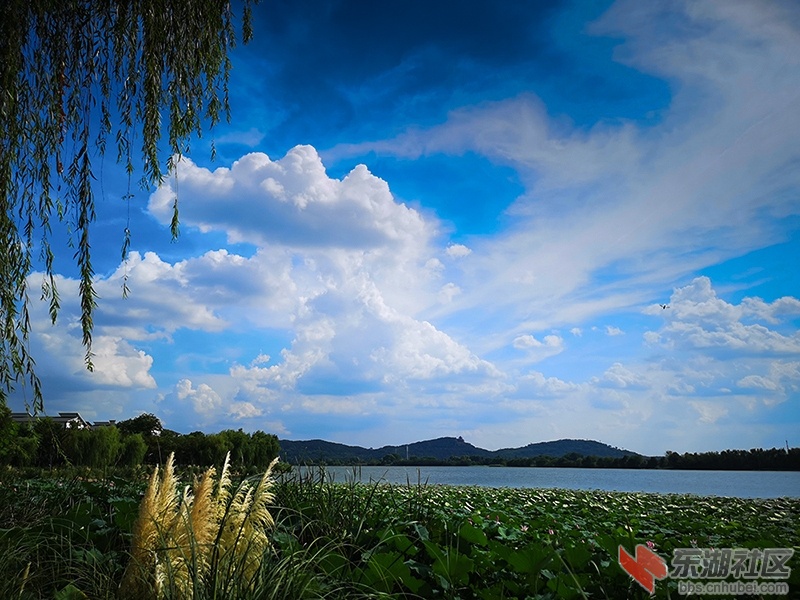 12.曾院平摄影.jpg