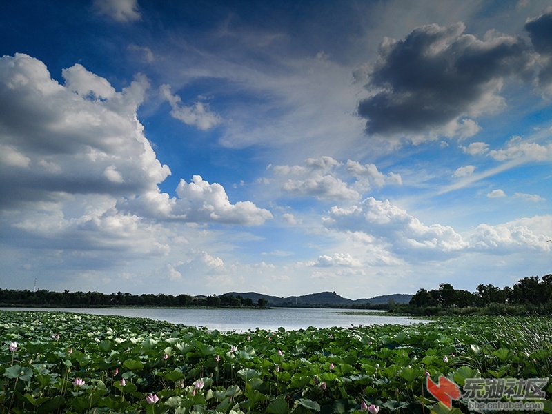 17.曾院平摄影.jpg