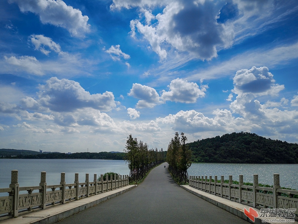 6.曾院平摄影.jpg