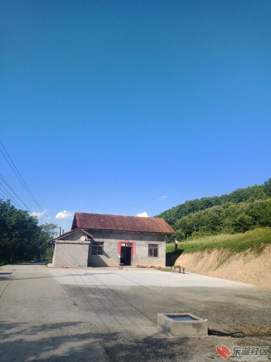 IMG20190815162853.jpg