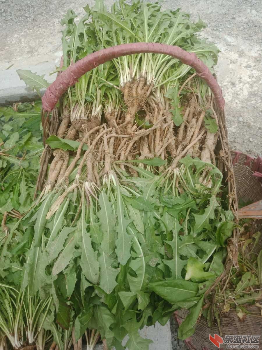 IMG20190814111153.jpg
