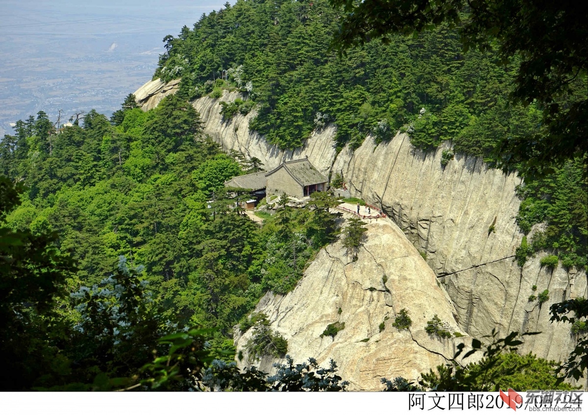 _DSC0078.jpg