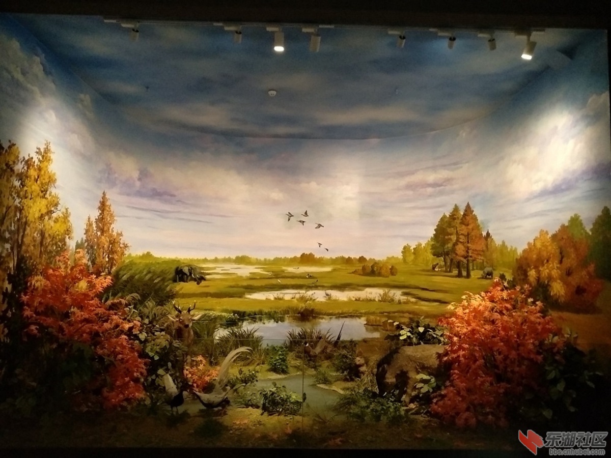 11.展厅侧橱窗.jpg