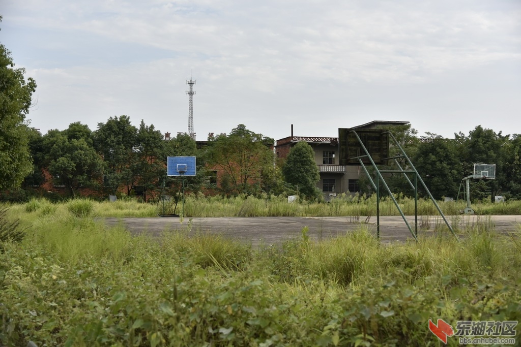 _DSC2588_调整大小.JPG
