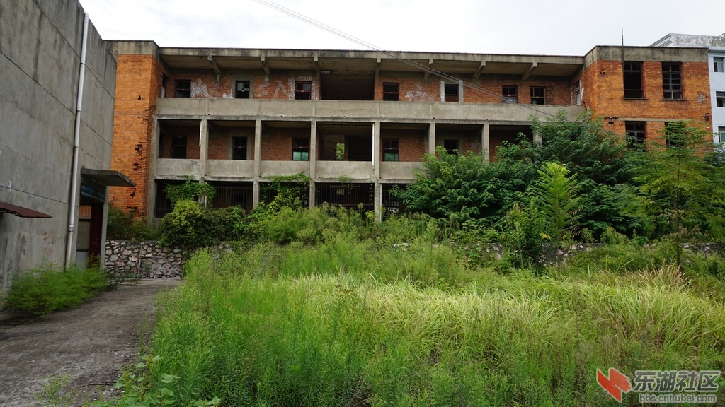 DSC02407_调整大小.JPG