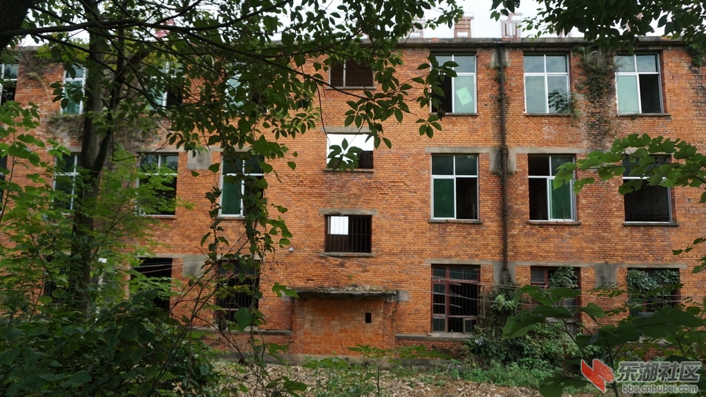 DSC02415_调整大小.JPG