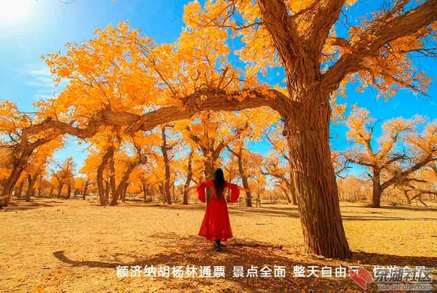 14 特点五.jpg