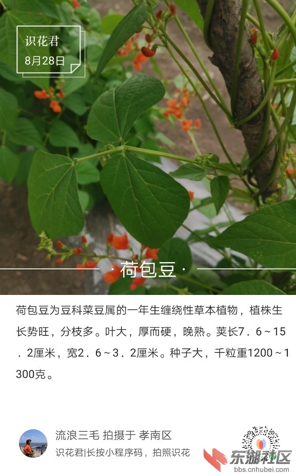 2019-08-28_235242.jpg