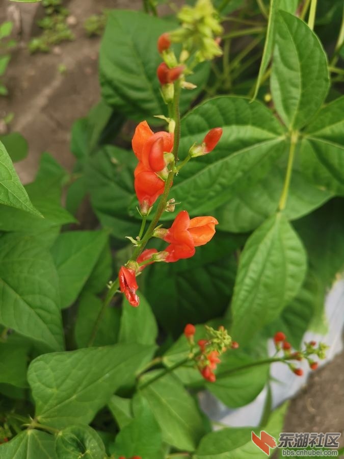 IMG_20190715_114813.jpg