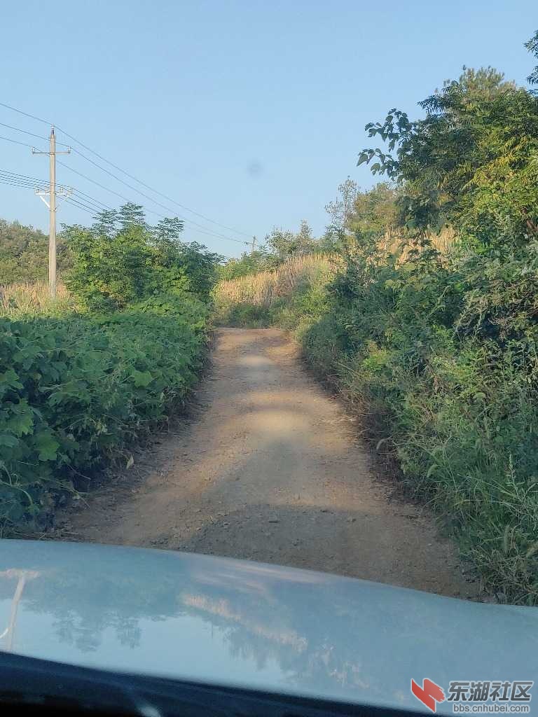 IMG_20190829_181040.jpg