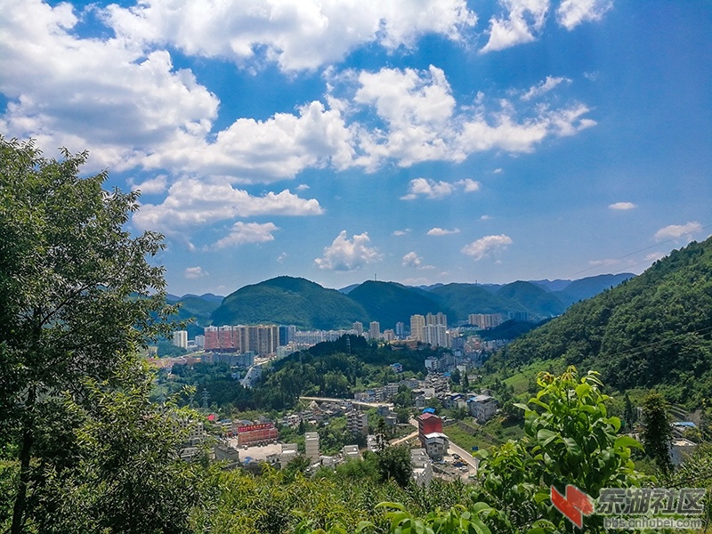IMG_20190816_123507.jpg