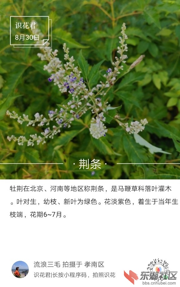 2019-08-30_220214.jpg