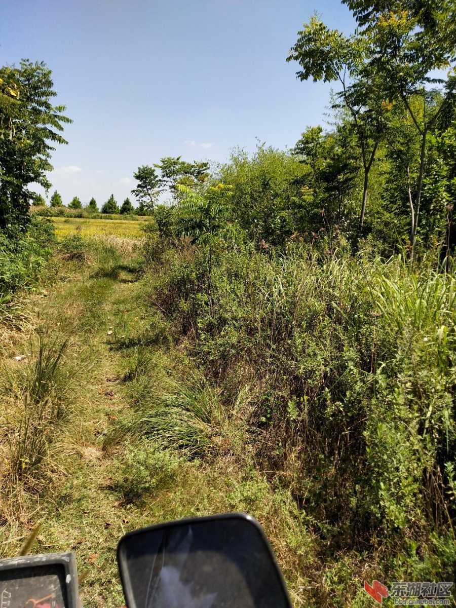 IMG_20190829_134712.jpg