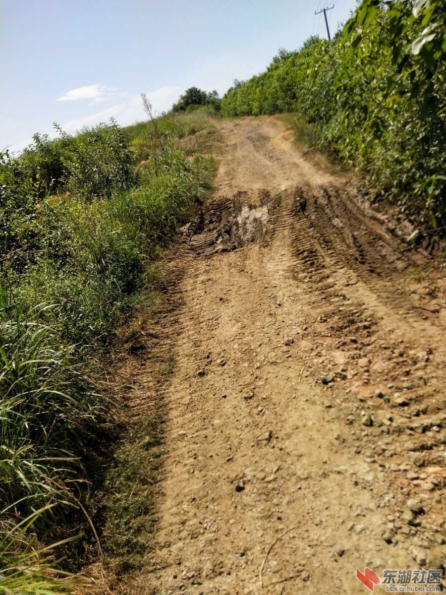 IMG_20190829_135318.jpg