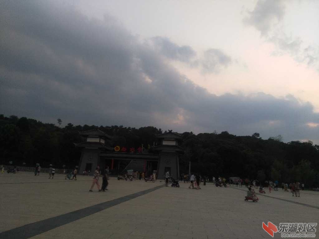 IMG_20190819_191354.jpg
