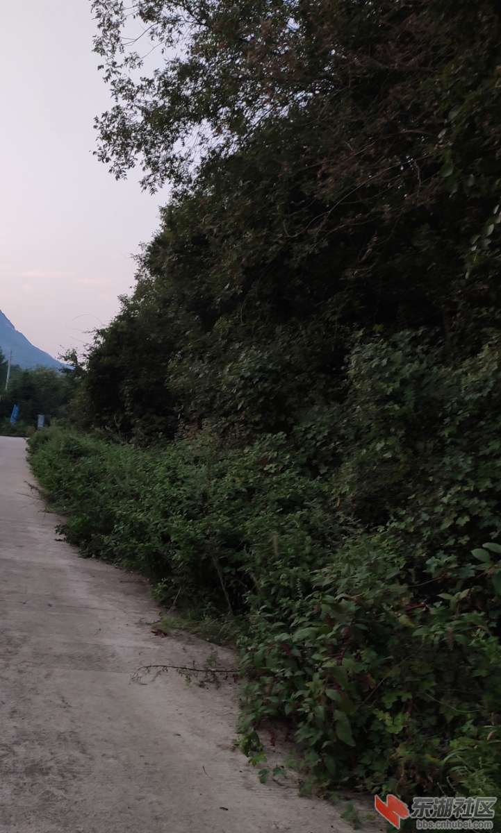 IMG_20190903_185802_1.jpg