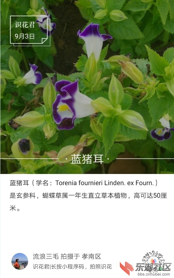 2019-09-03_231700.jpg