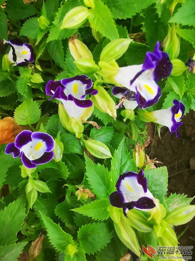 IMG_20190903_135942.jpg