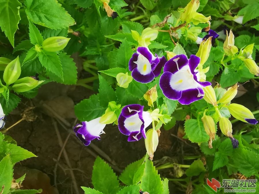IMG_20190903_140034.jpg
