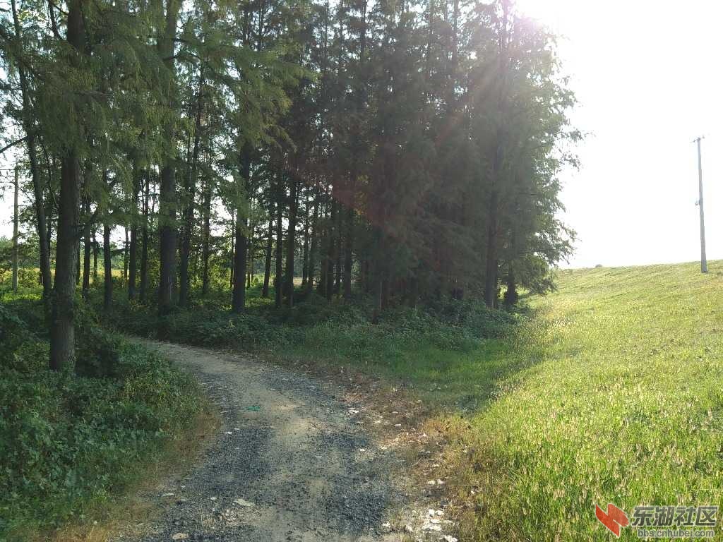 IMG_20190906_162123.jpg