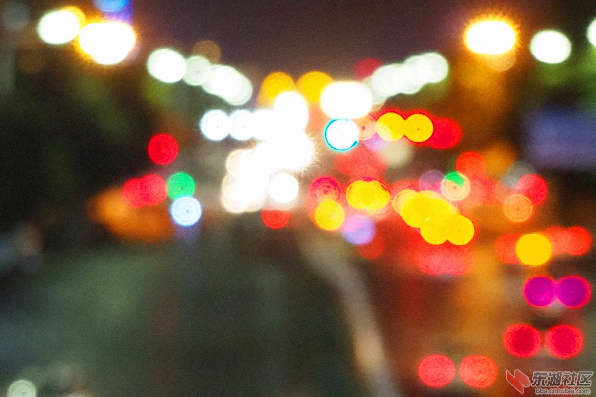 P9090991.jpg