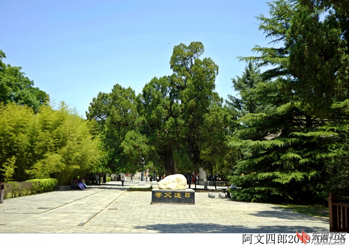_DSC0009.jpg