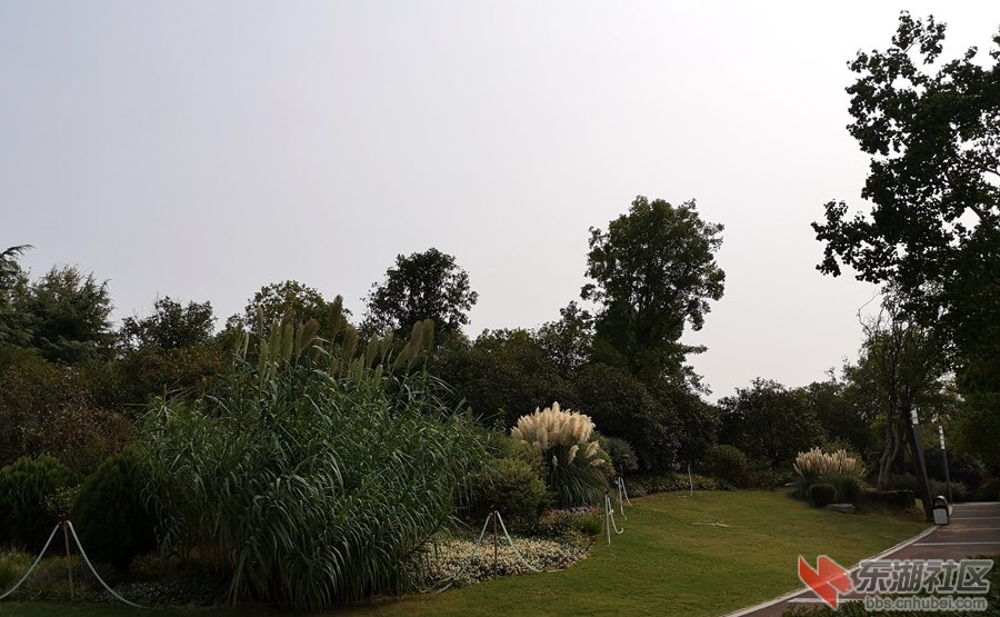 IMG_20190915_143858_副本.jpg