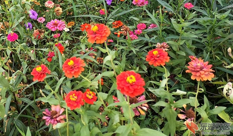 IMG_20190915_142933.jpg