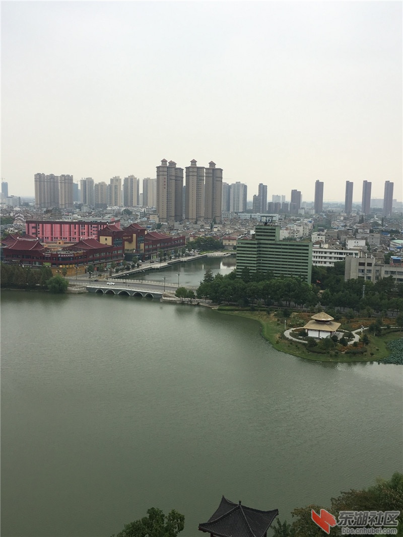 IMG_8342.JPG