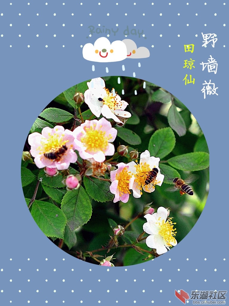 timg_副本_副本.jpg