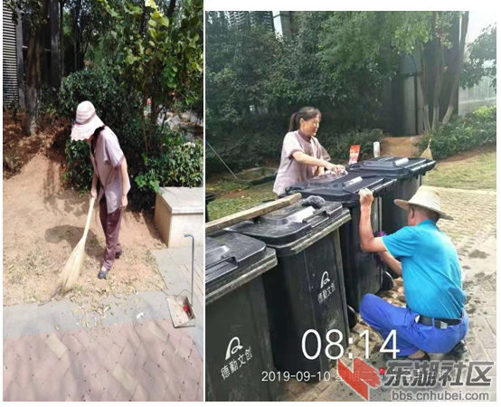 关于荆楚网网调函[2019]090919号第1373项附件1.png