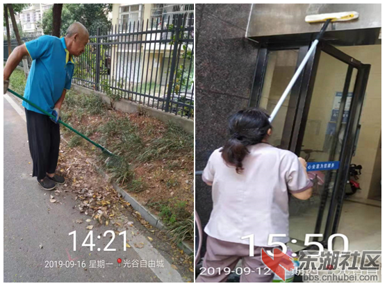关于荆楚网网调函[2019]090919号第1373项附件3.png