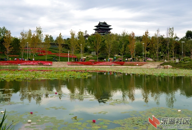 DSC_5586_副本.jpg