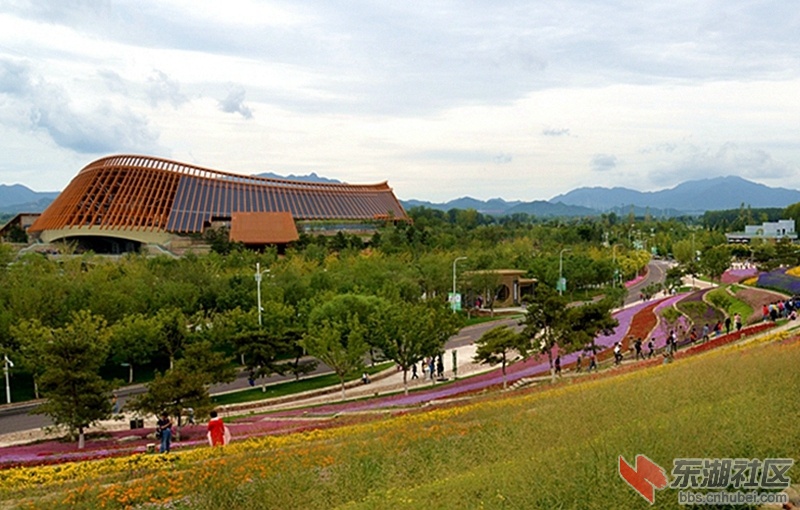 DSC_5561_副本.jpg