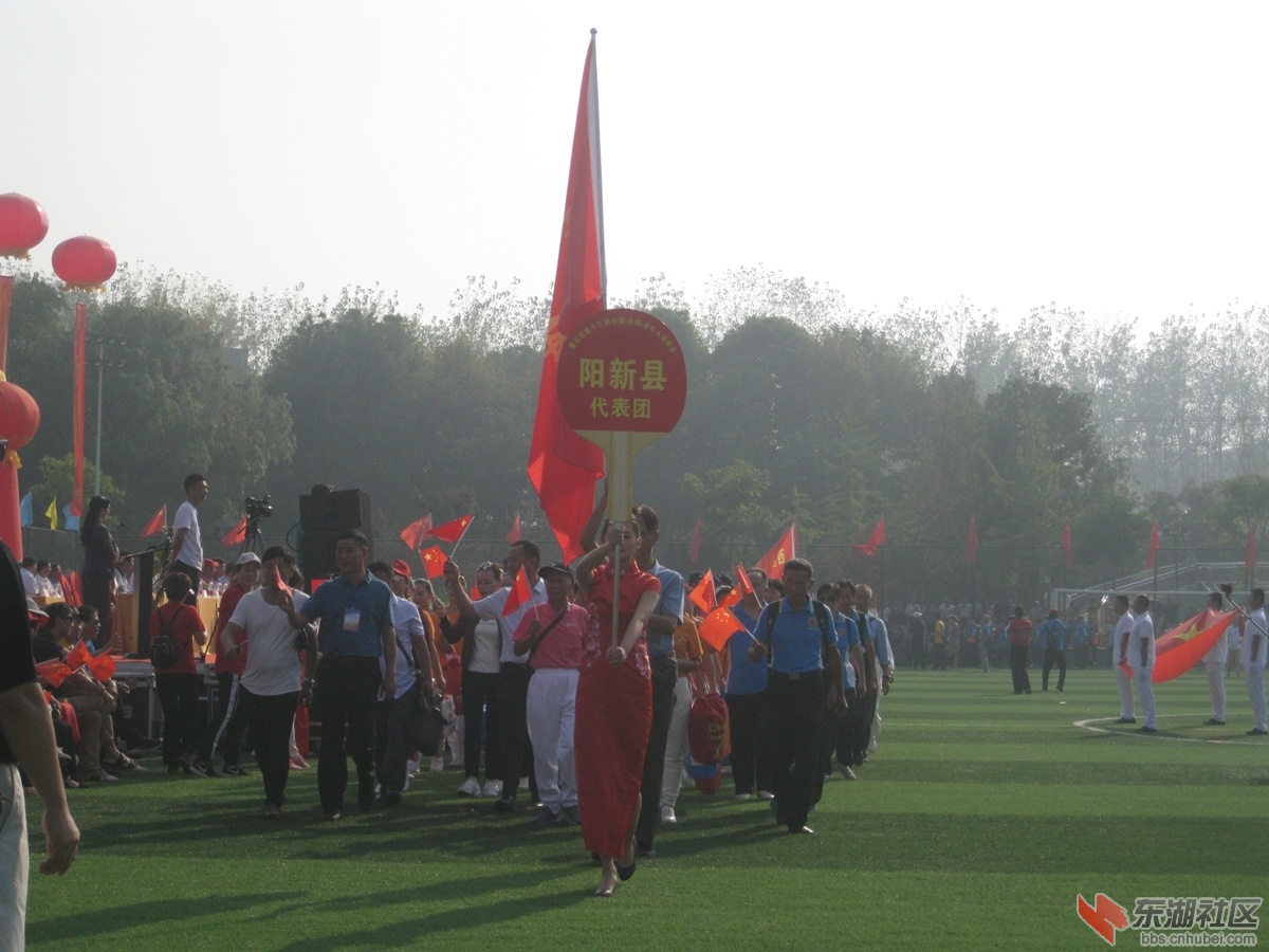 66.jpg