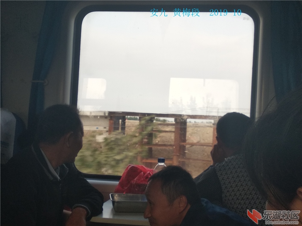 IMG_20191008_154145.jpg