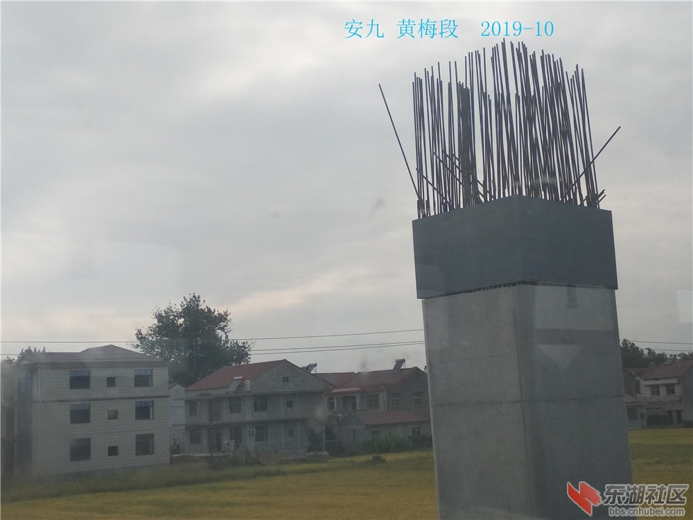IMG_20191008_154225.jpg