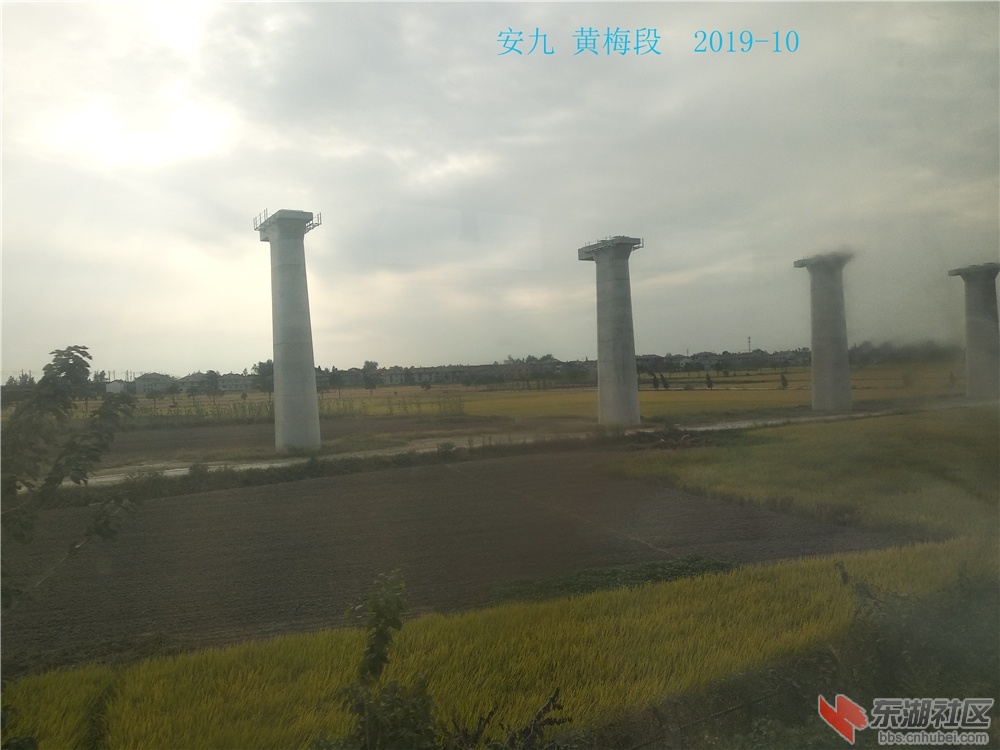 IMG_20191008_154332.jpg